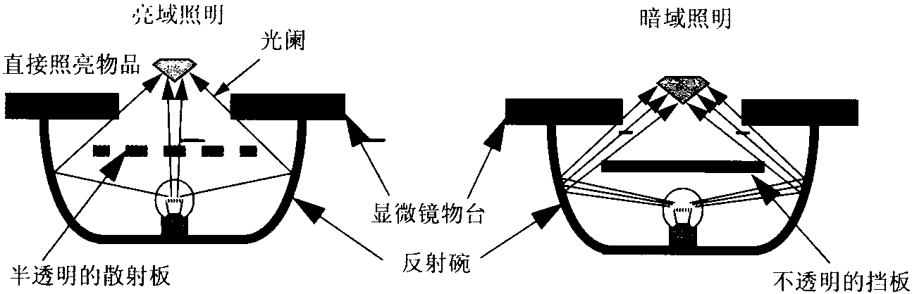 照明類型